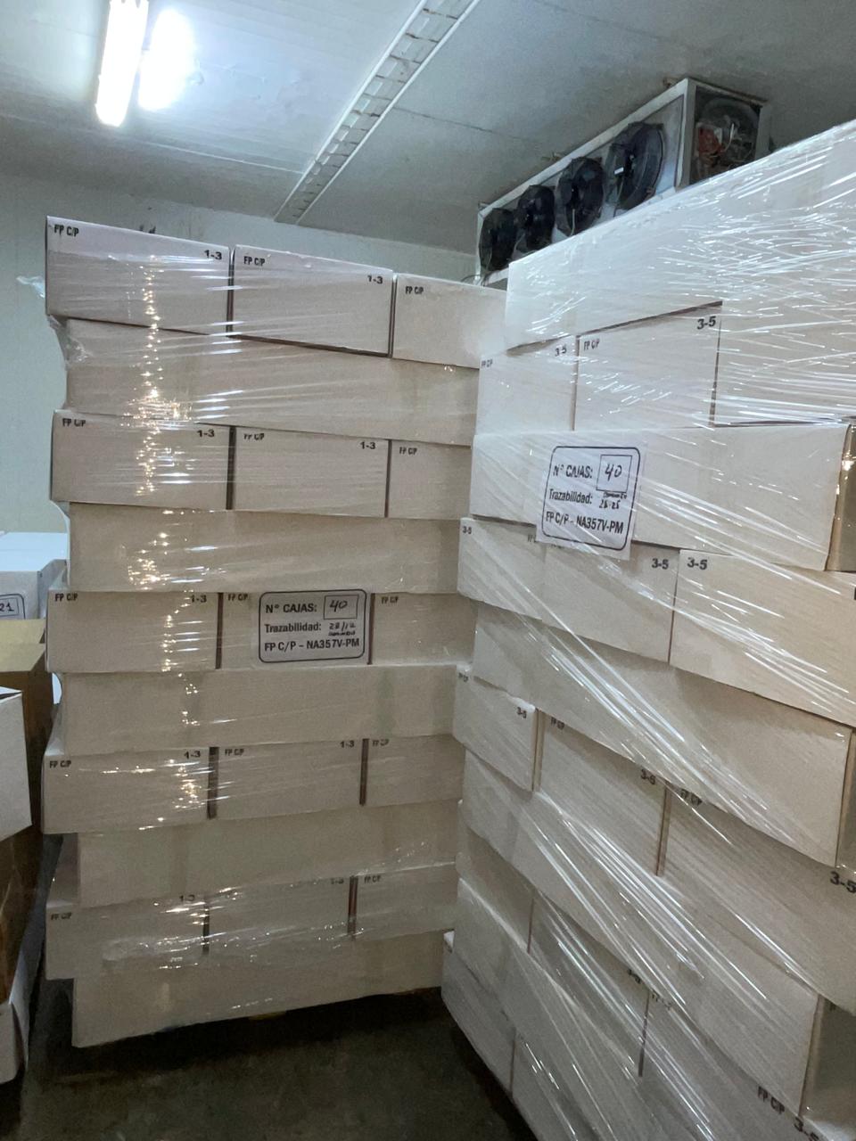 Cámara de almacenamiento