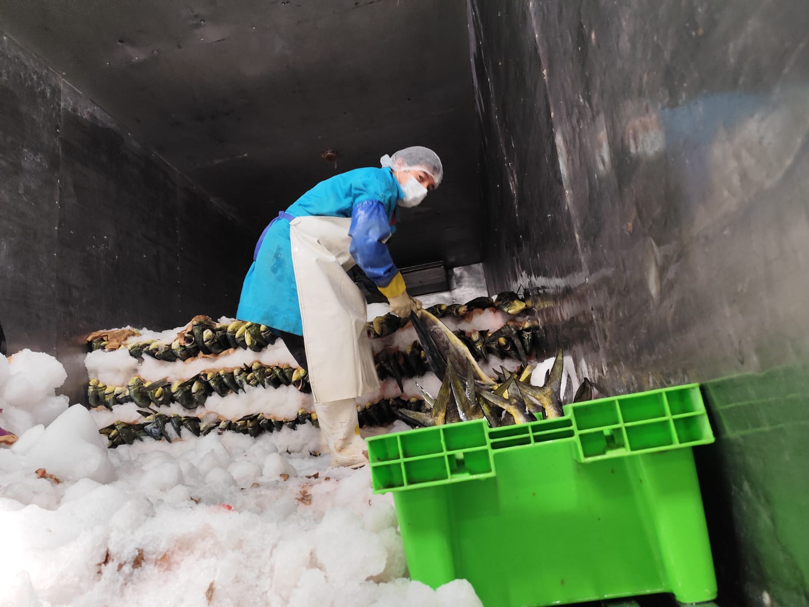 Descarga de materia prima